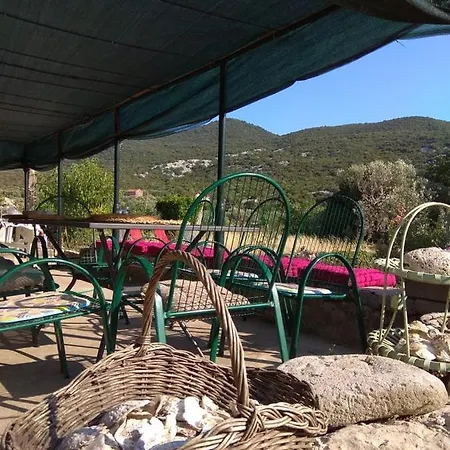 Orange Dream Vacation House * Brijesta