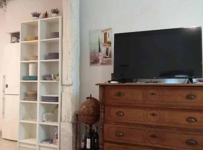 Orange Dream * Brijesta