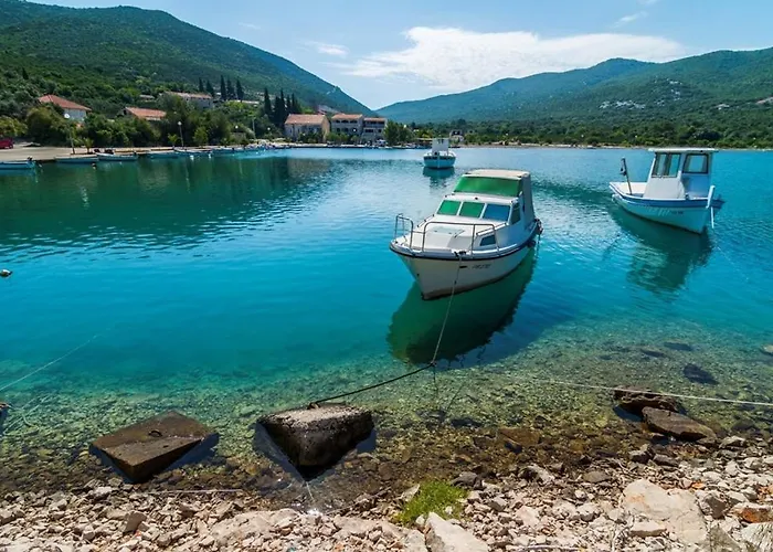 Orange Dream * Brijesta