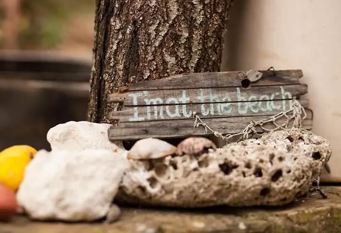 Semesterbostad Orange Dream