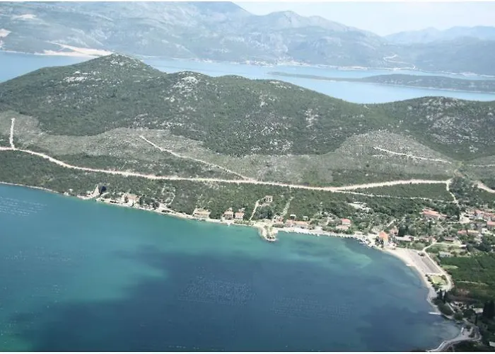 Orange Dream * Brijesta